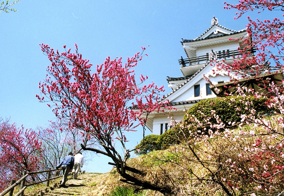 牛伏山自然公園